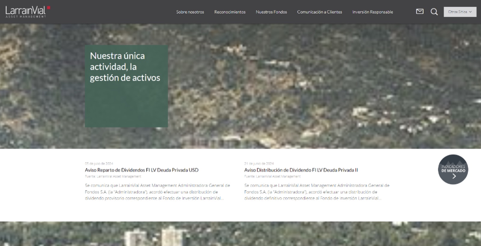 Vista del sitio web anterior de AGF LarrainVial